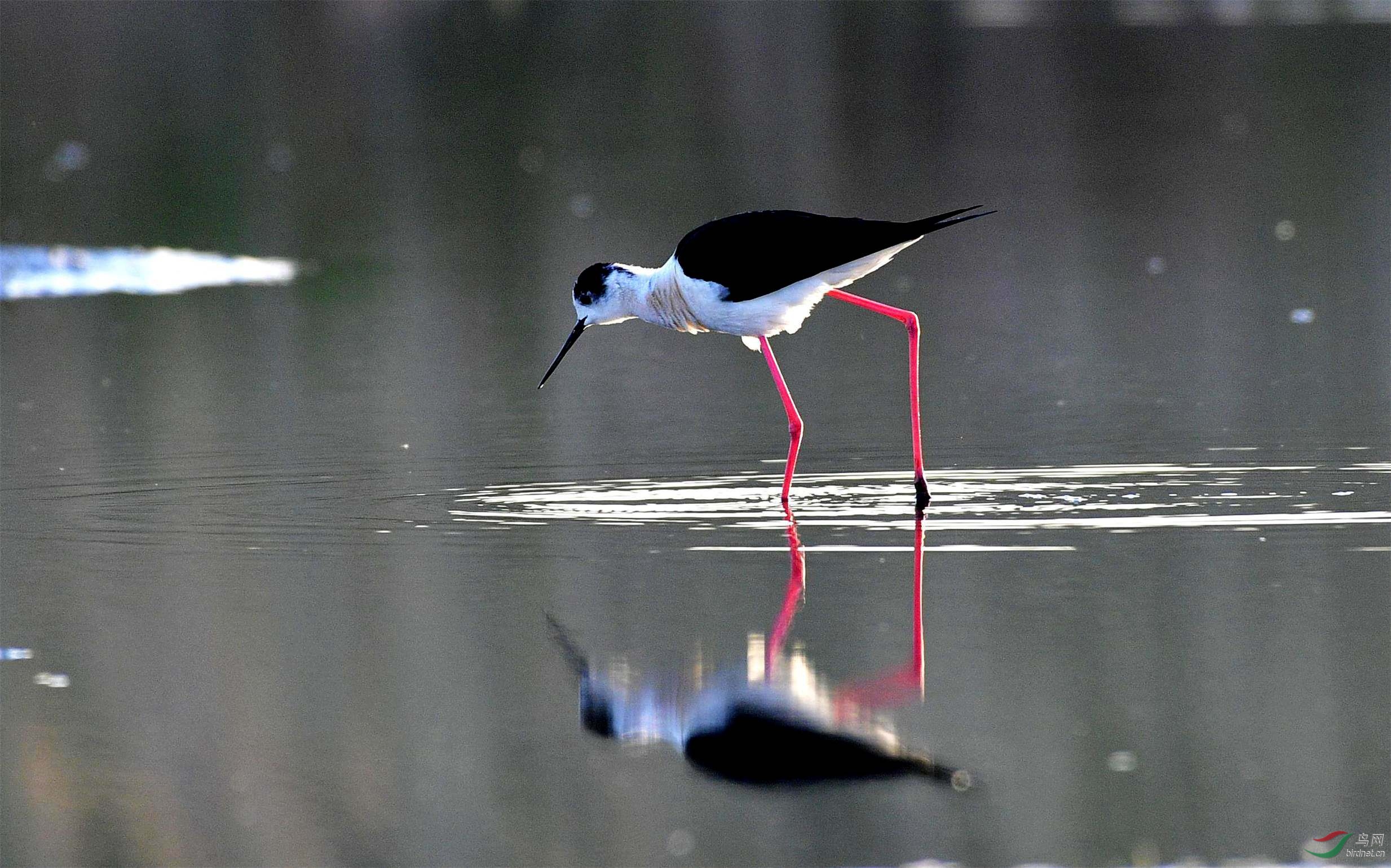 _DSC0279_���� (2).jpg