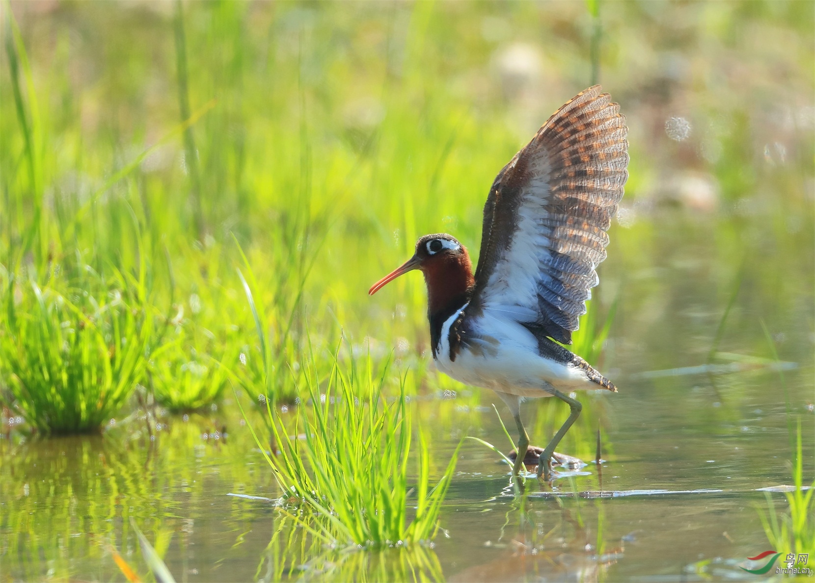 12 - ����.JPG