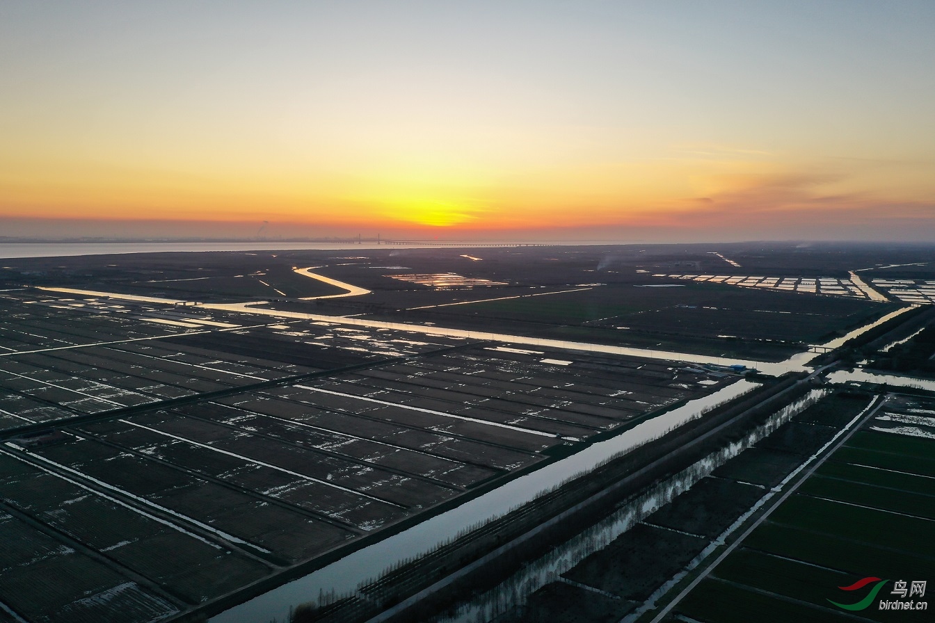 DJI_0431.jpg
