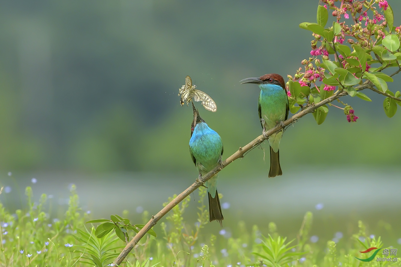 DSC_7576-2.jpg