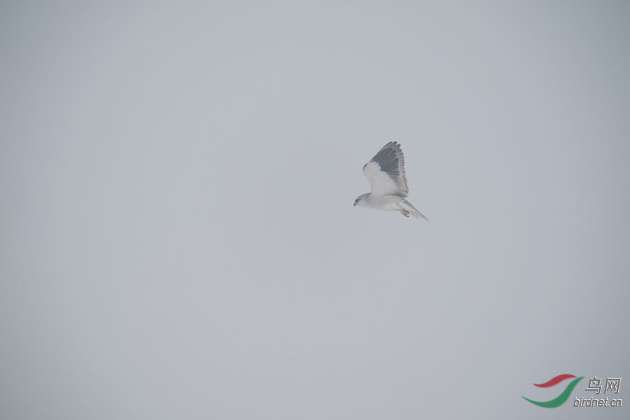 DSC00783.jpg