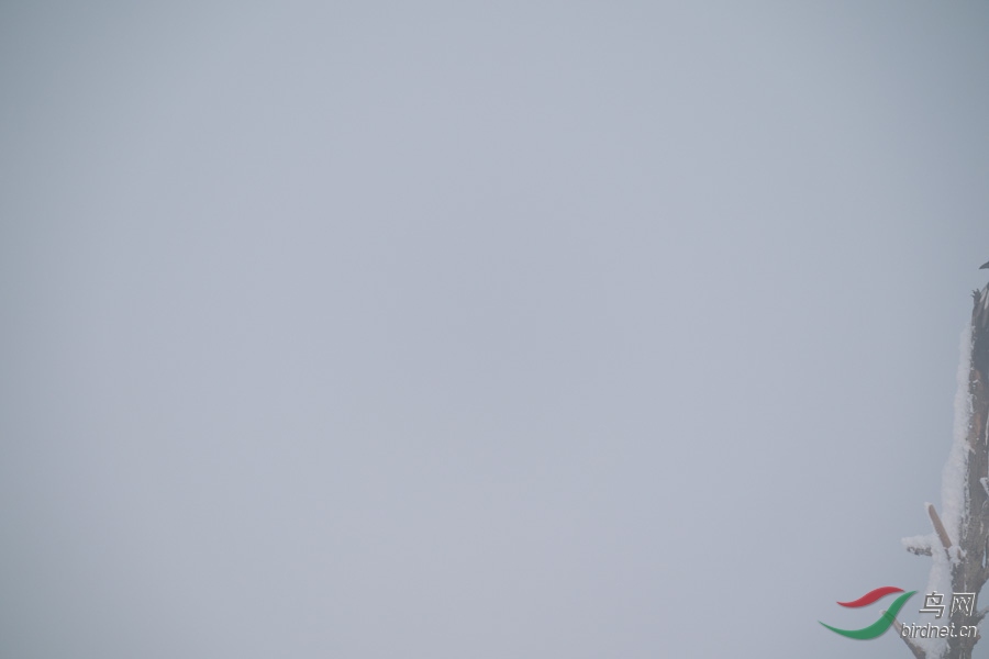 DSC00744.jpg
