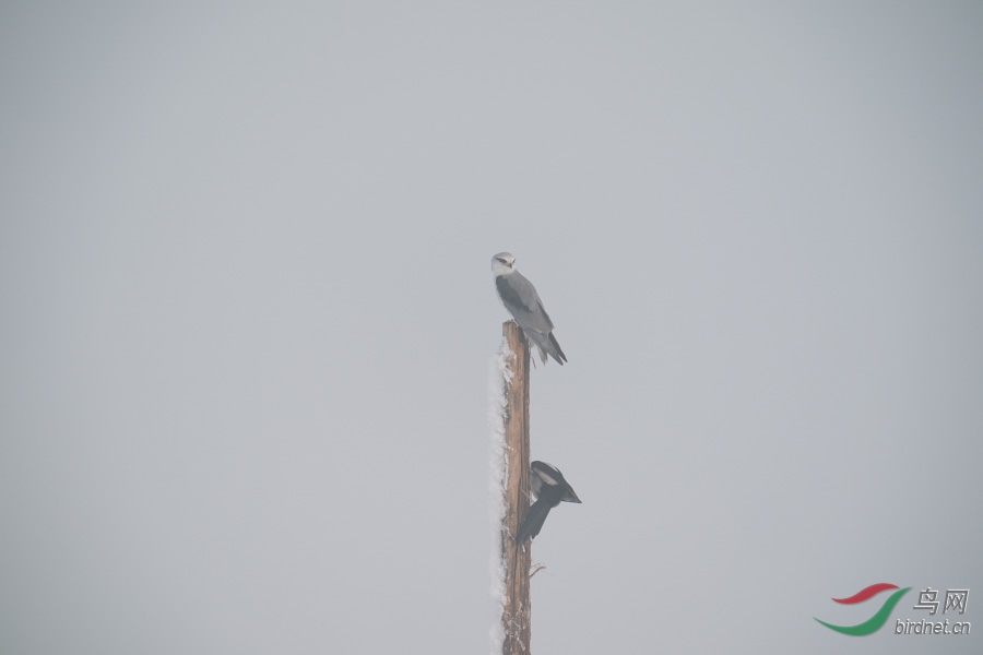 DSC00774.jpg