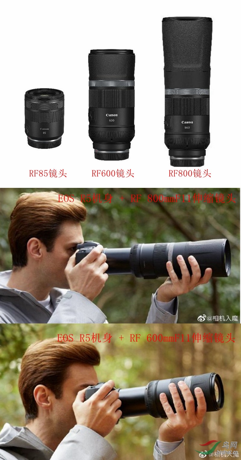NeoImage_����.jpg