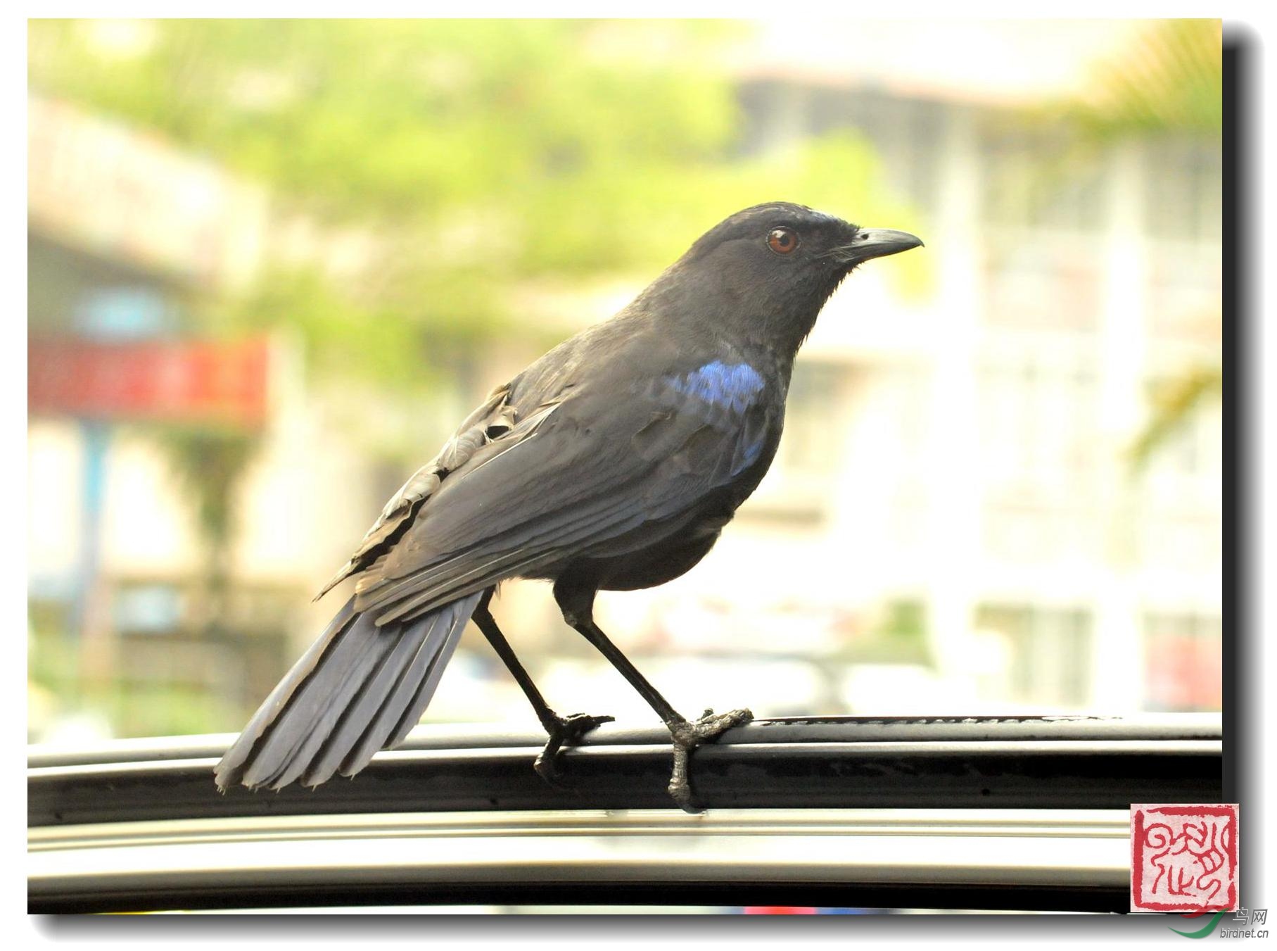 照片 1046_副本_副本.jpg