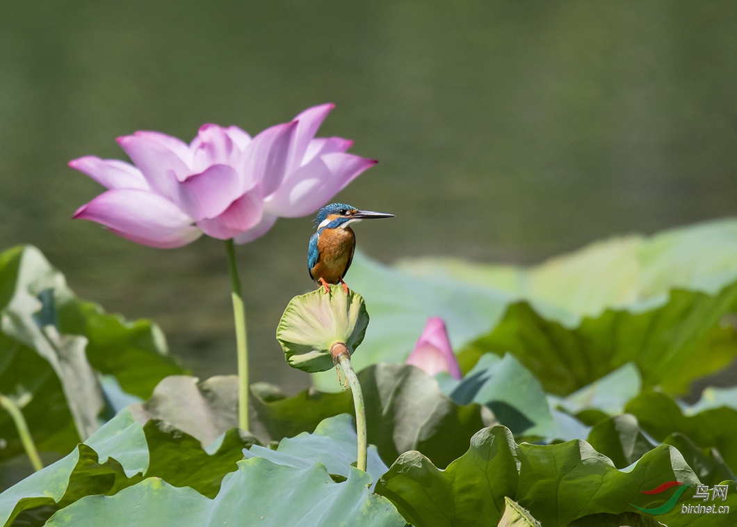DSC_7216.jpg