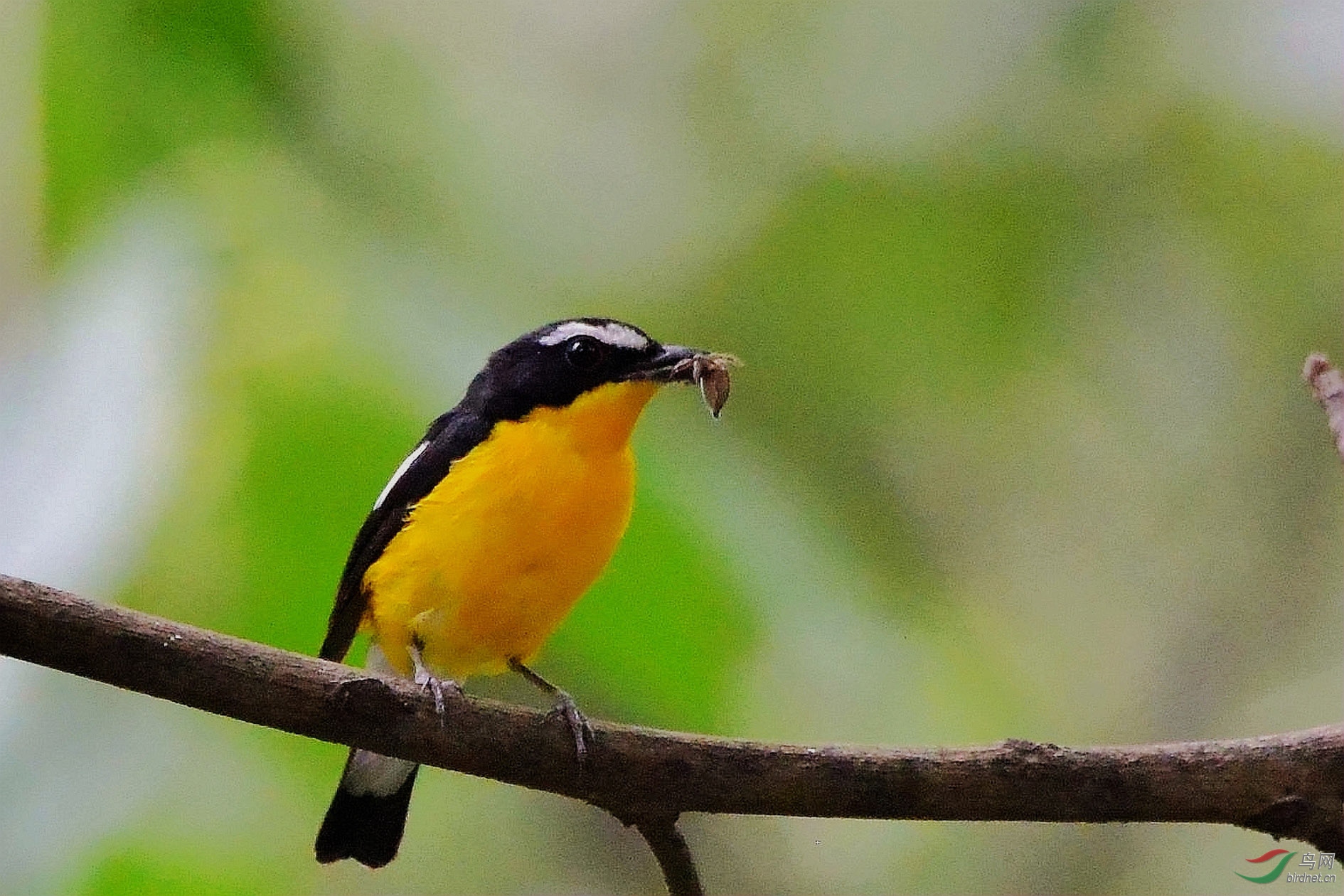 DSC_3543.JPG