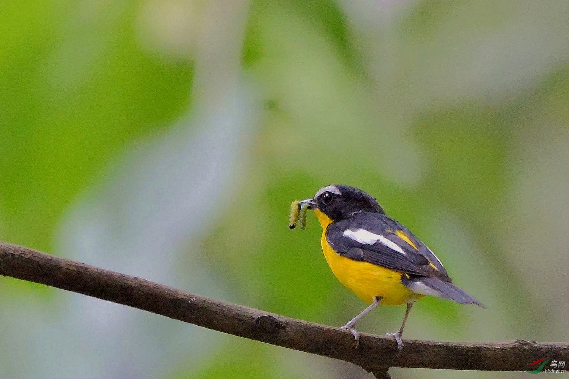 DSC_3554.JPG