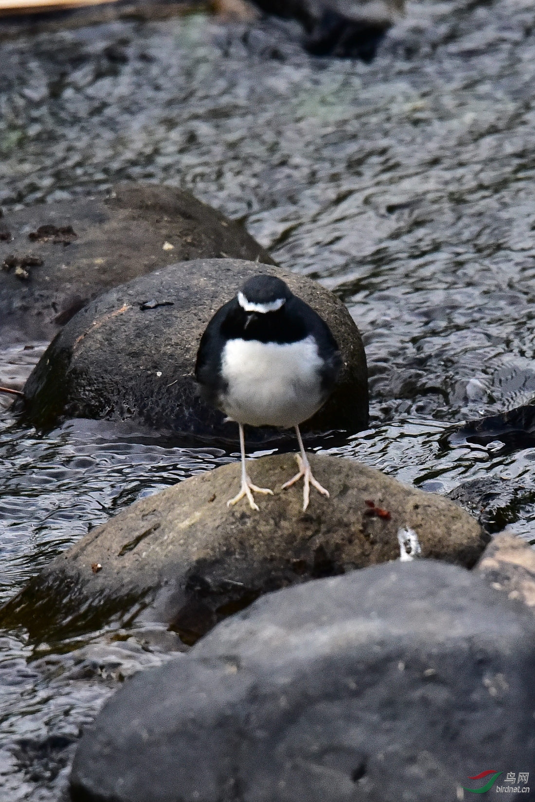 DSC_0475.JPG