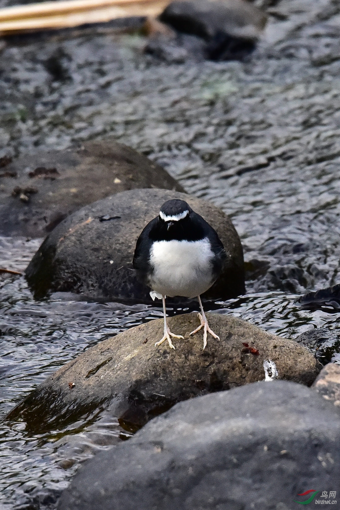 DSC_0476.JPG