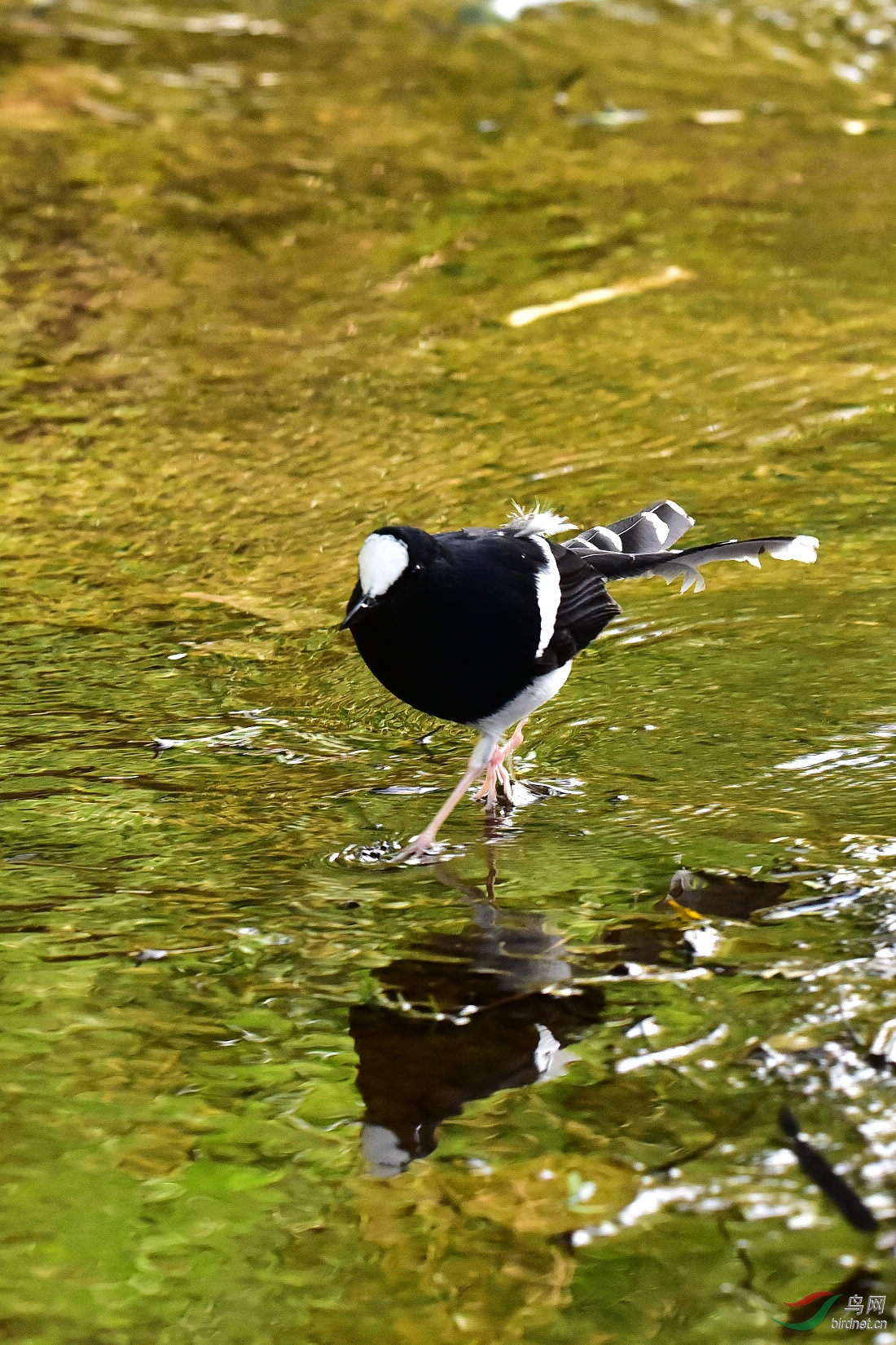 DSC_0477.JPG
