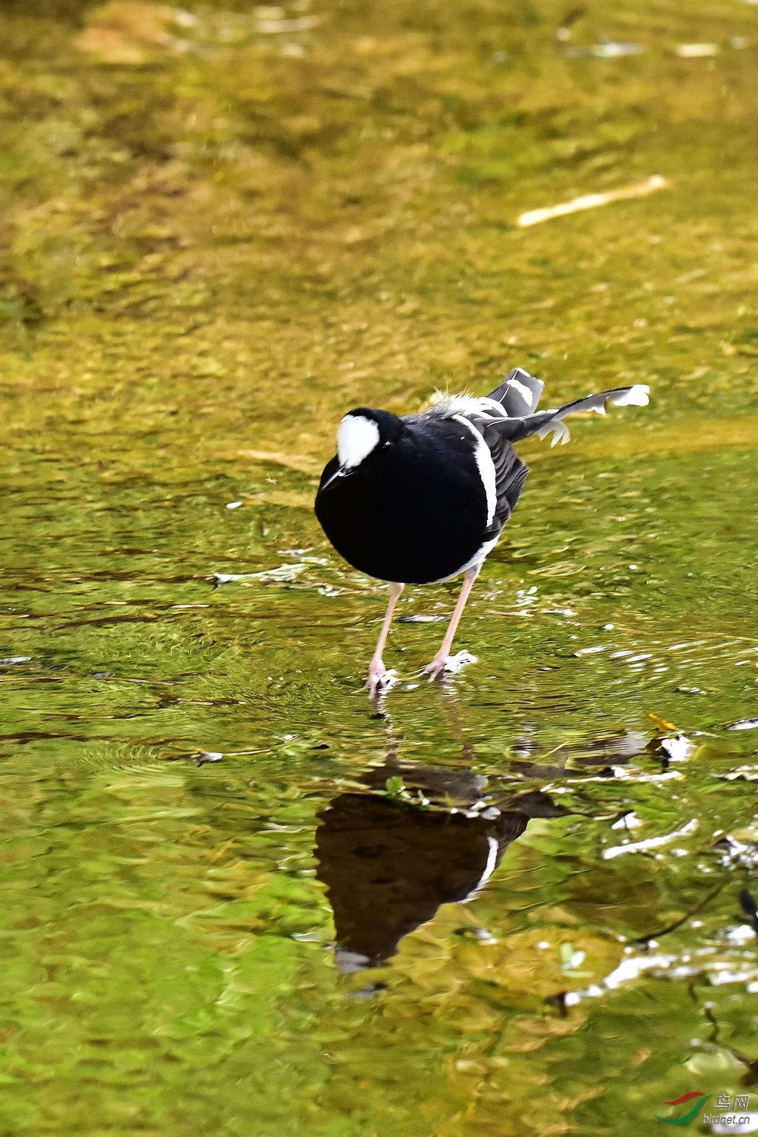 DSC_0478.JPG