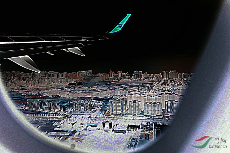 BW6I5508_����_����2_����.JPG
