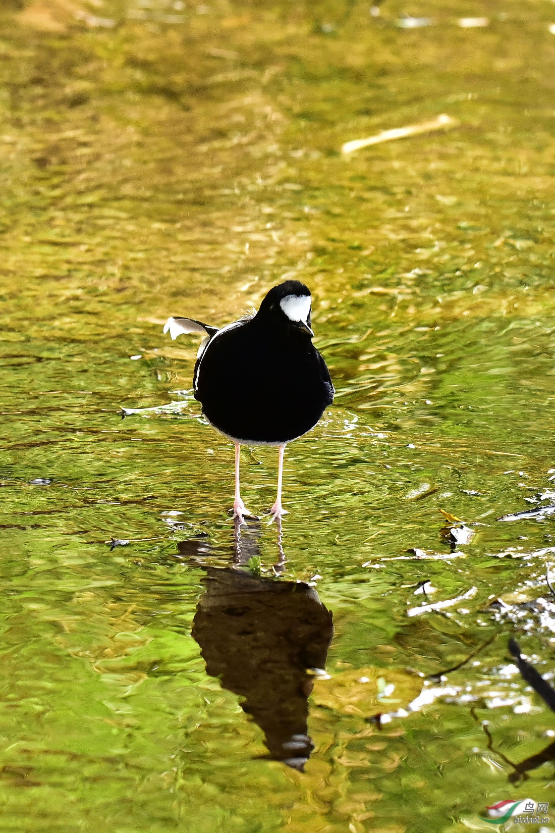 DSC_0479.JPG