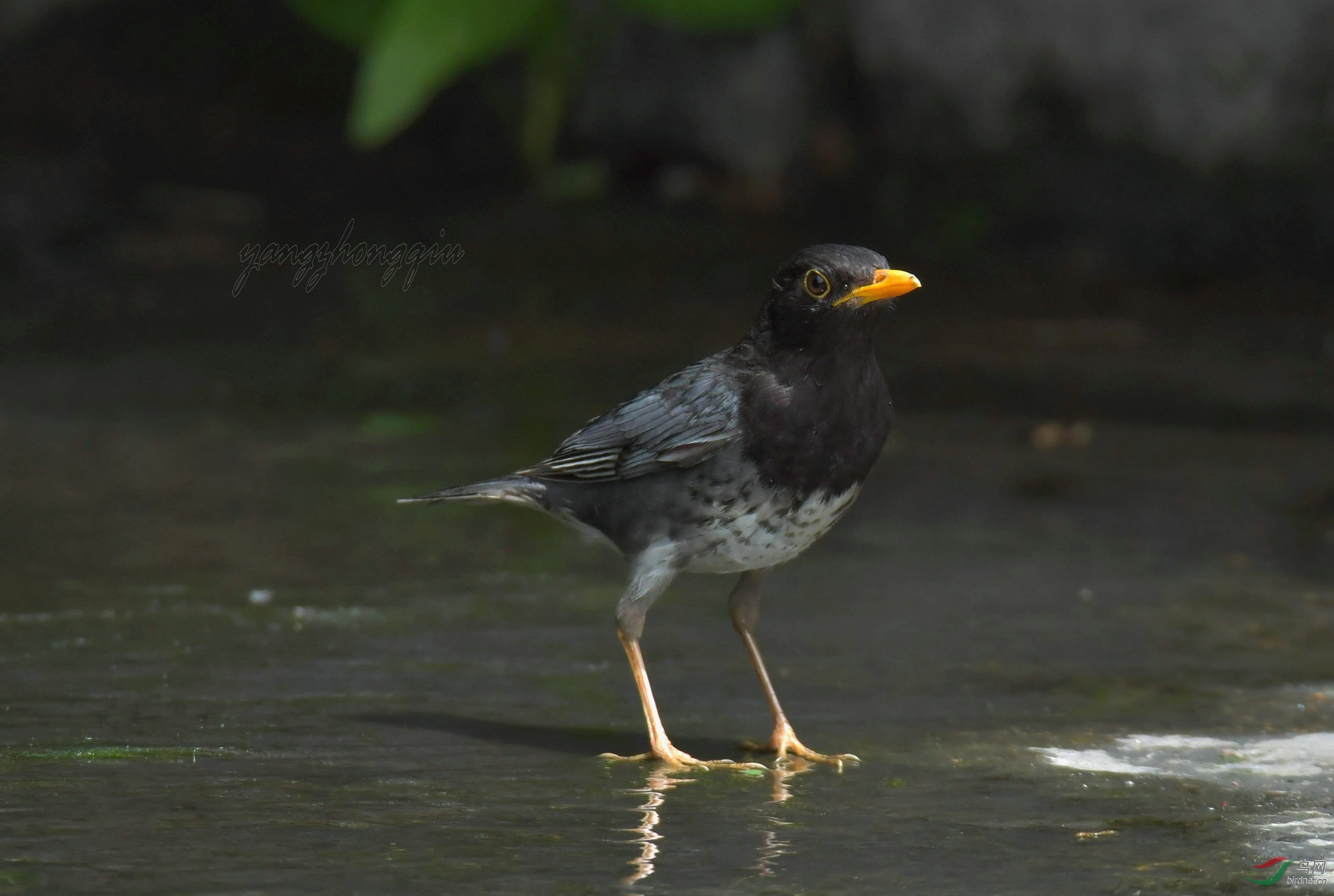 DSC_7147_����.jpg