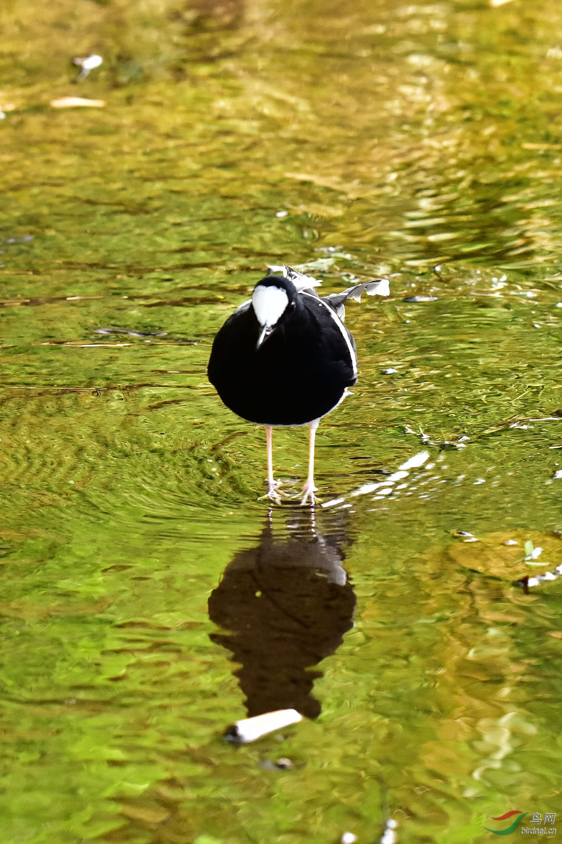 DSC_0481.JPG