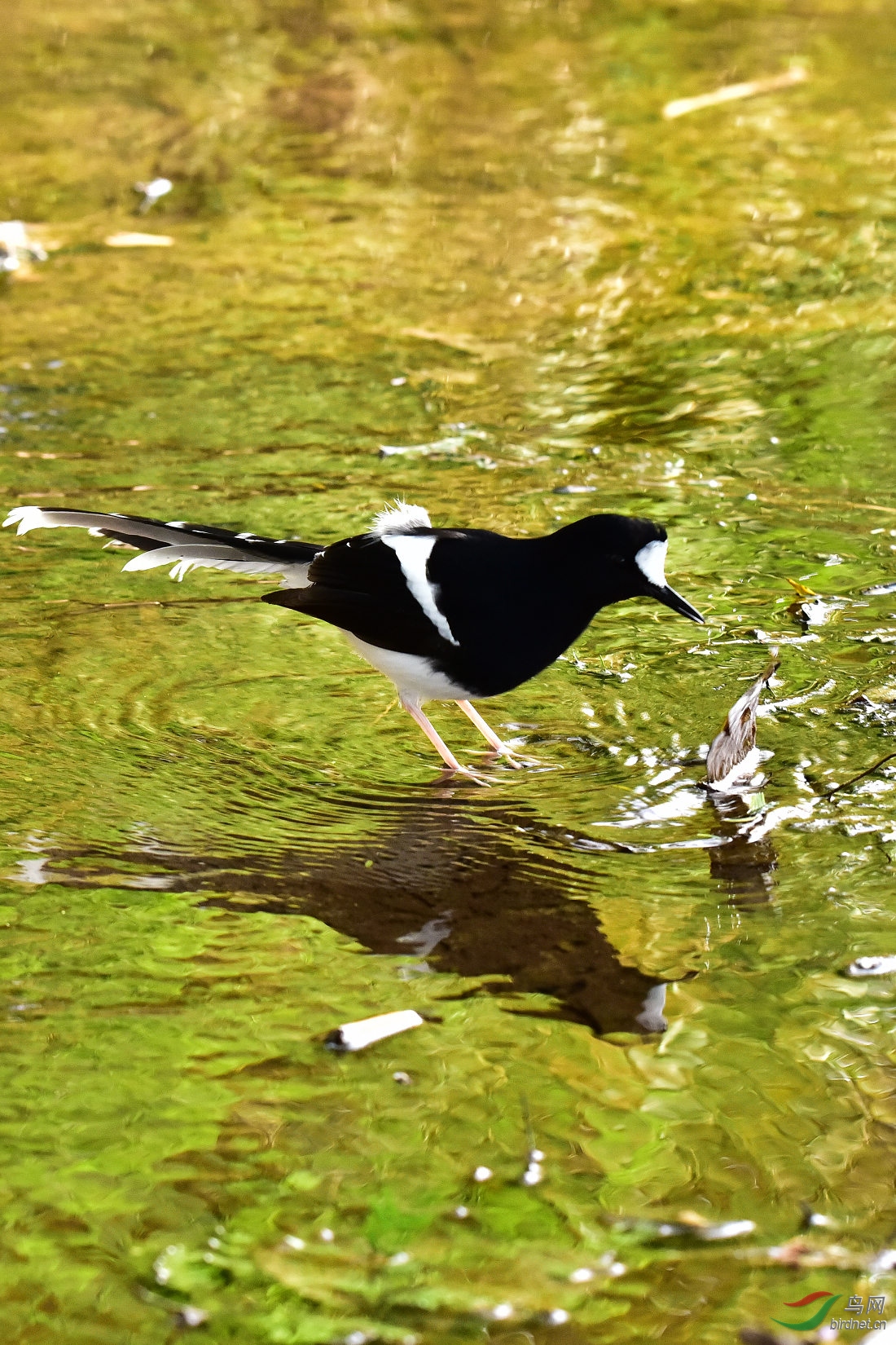 DSC_0482.JPG