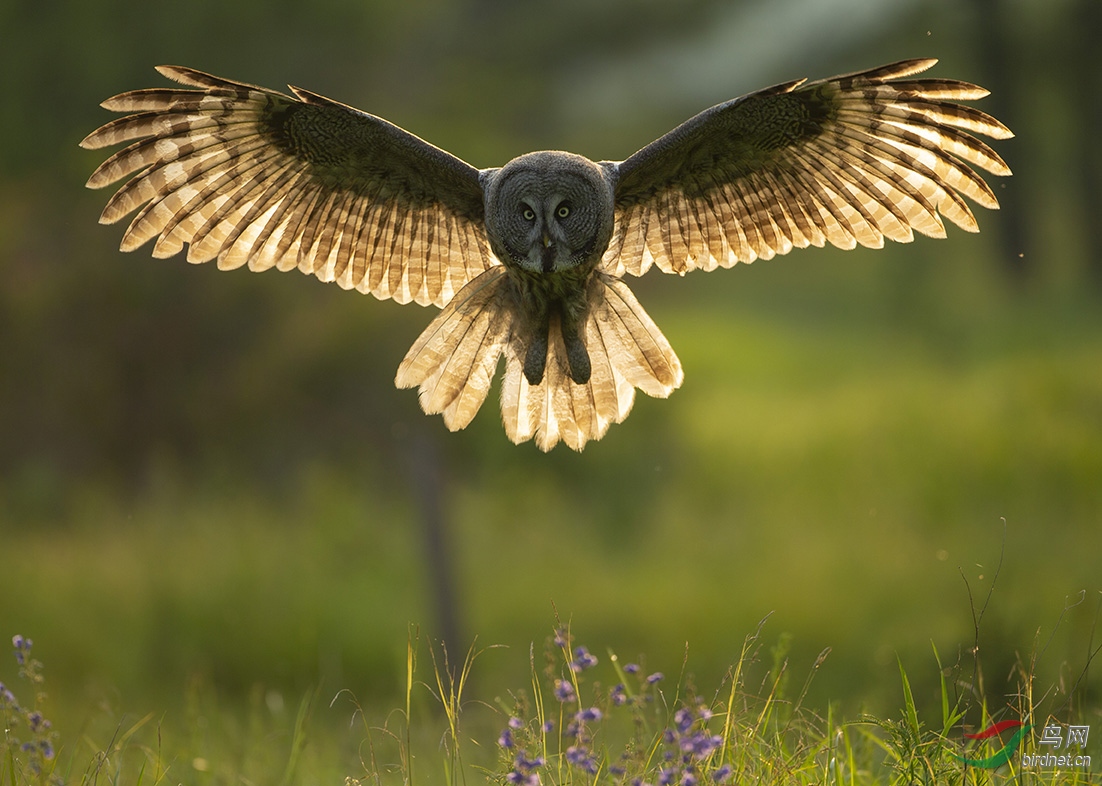 ���������^