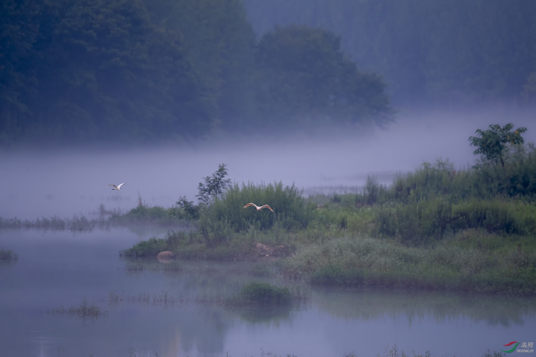 DSC_3784F03.jpg
