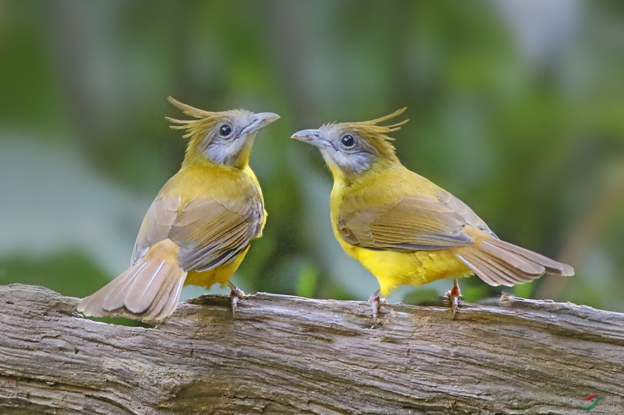 0B8A6500.JPG