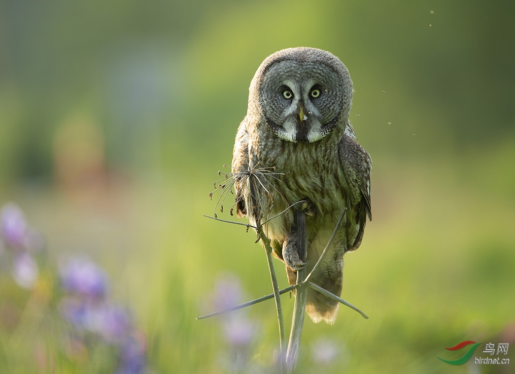 �̻�����