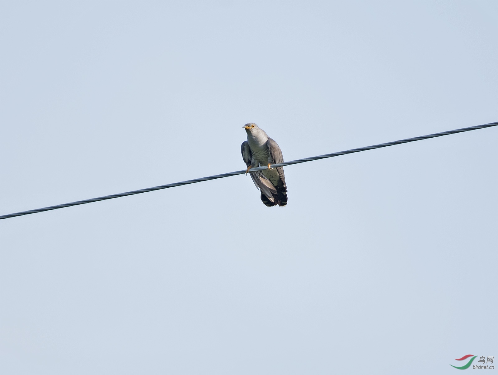 DSC_8783.jpg