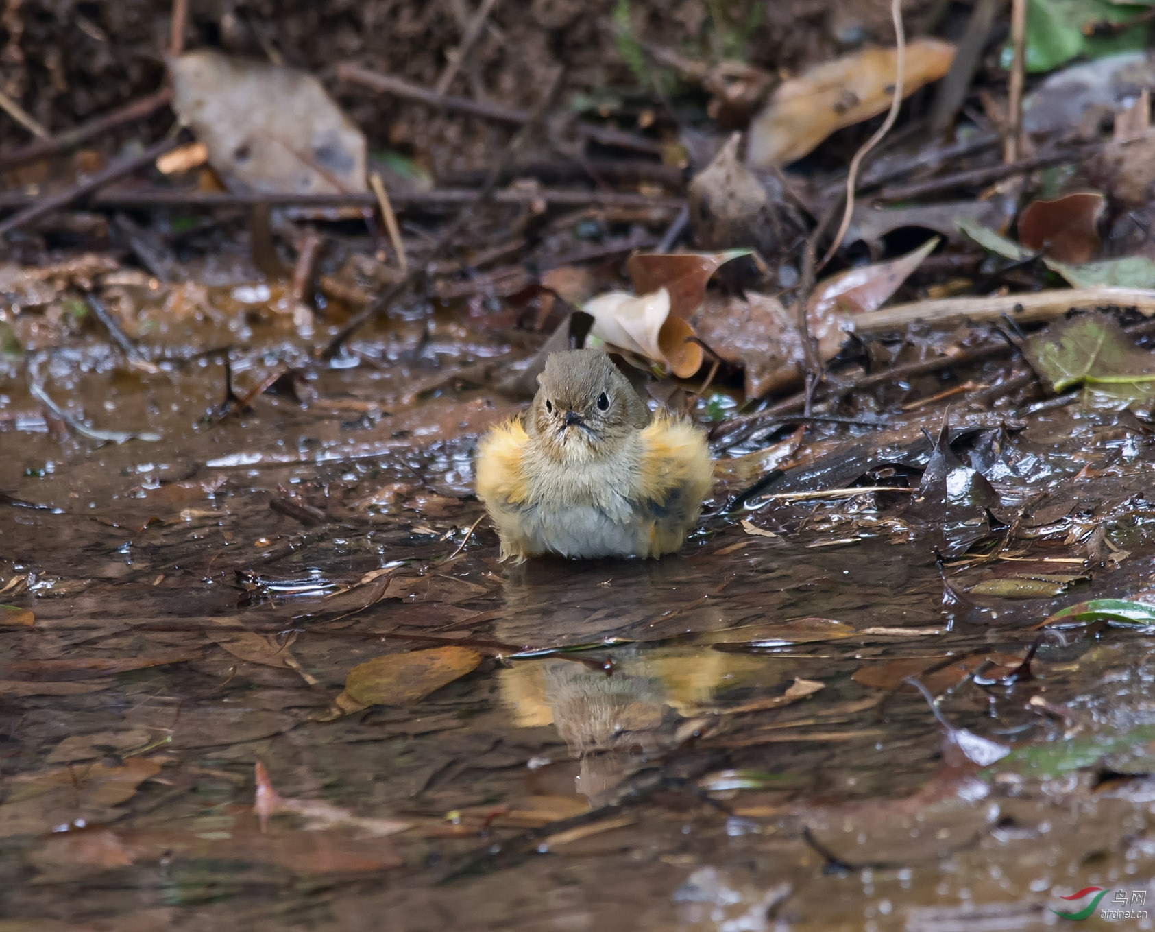 DSC_5703.jpg