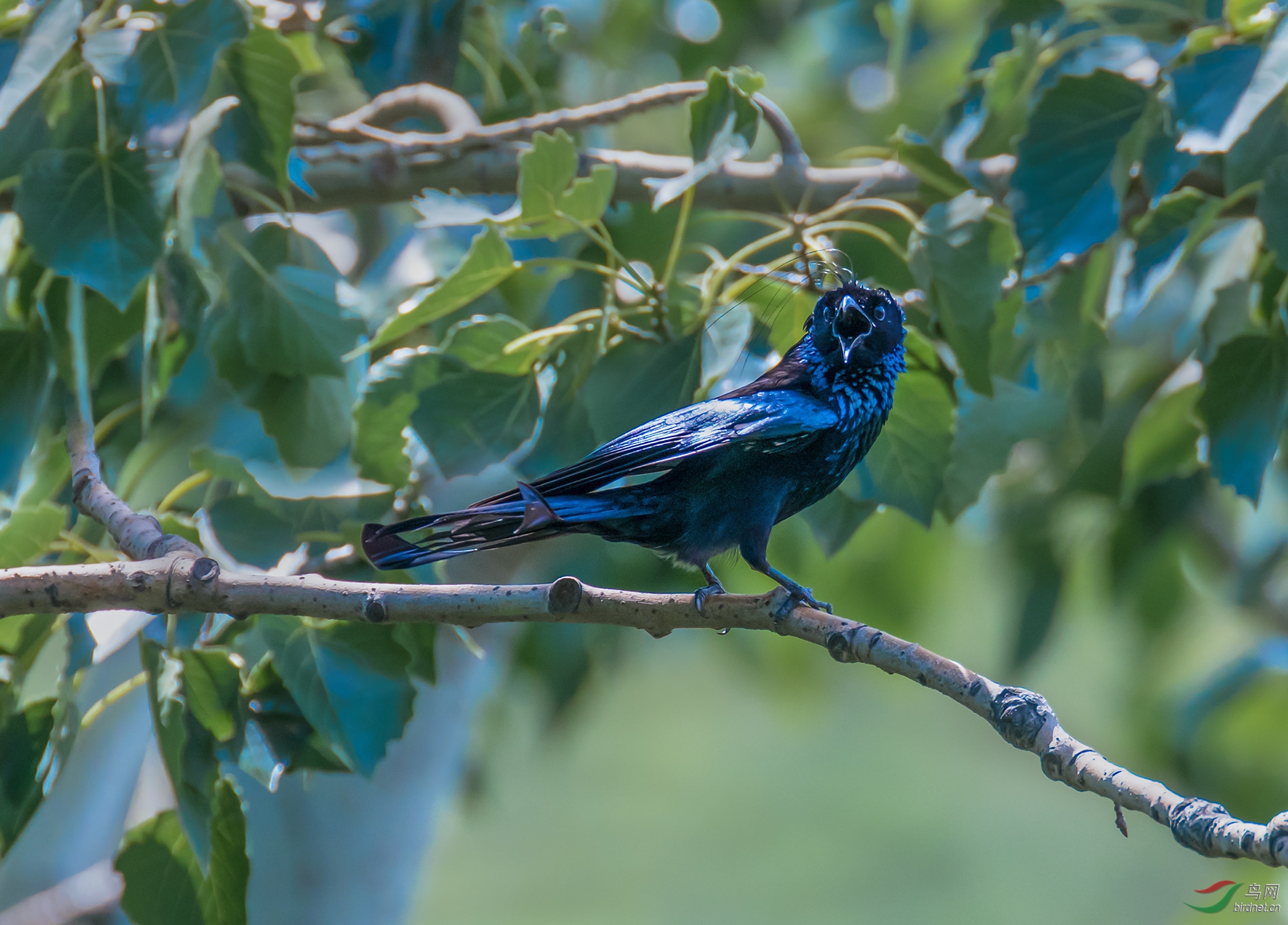 DSC_9312.jpg