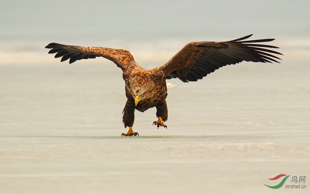 DSC_7098-0.jpg