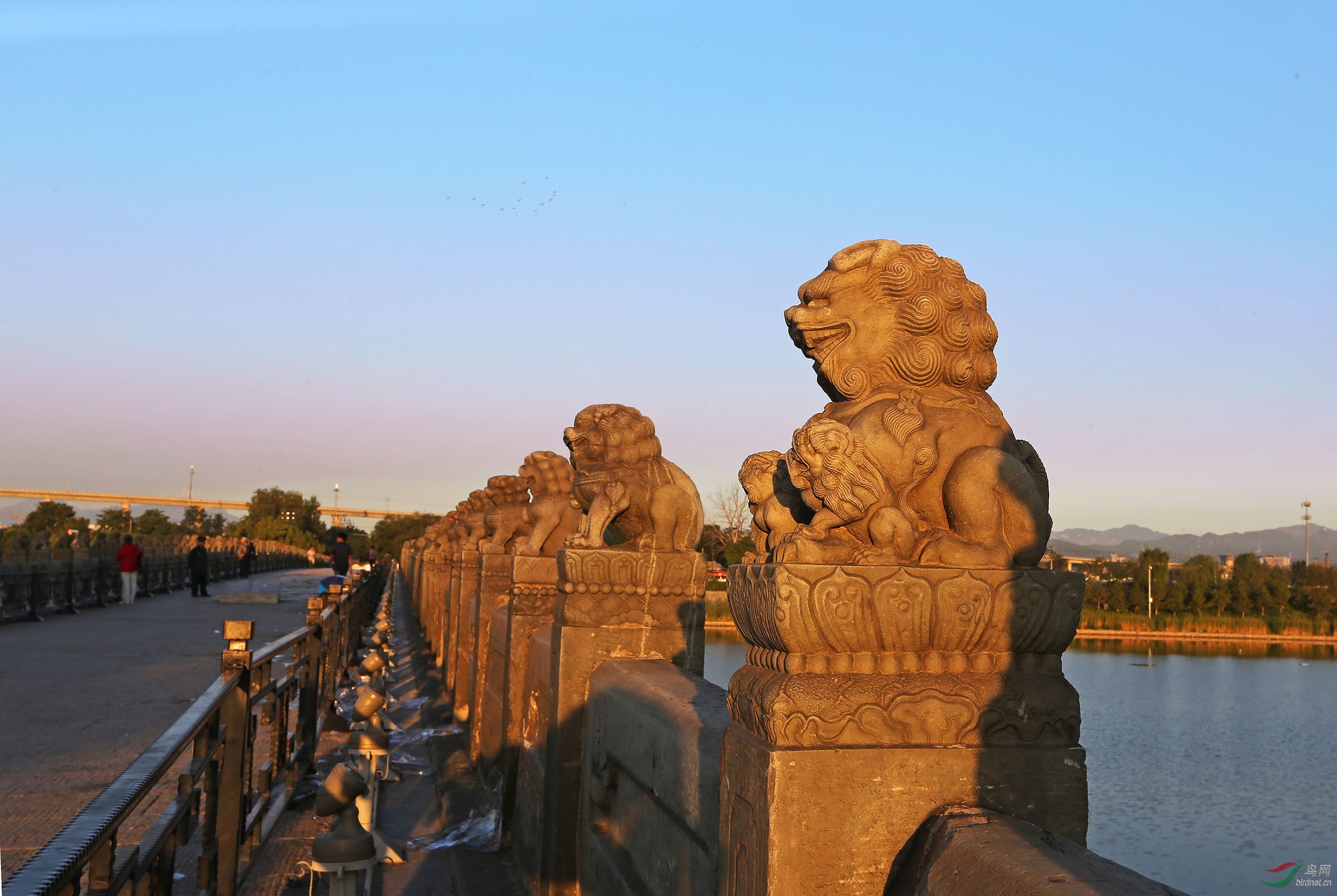 卢沟桥的狮子壁纸桌面图片