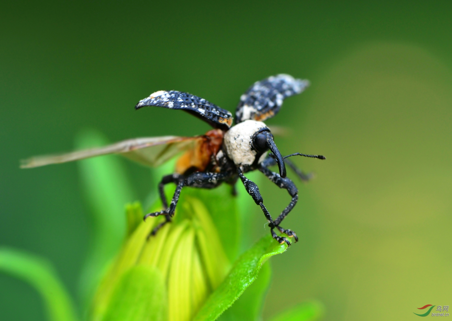 DSC_8511 ��������.jpg