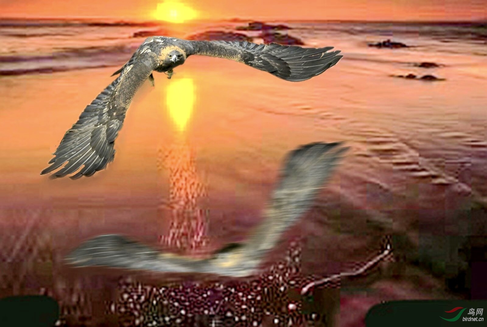 52B37E9D-5582-45E6-9F58-64220B8CC885.jpeg