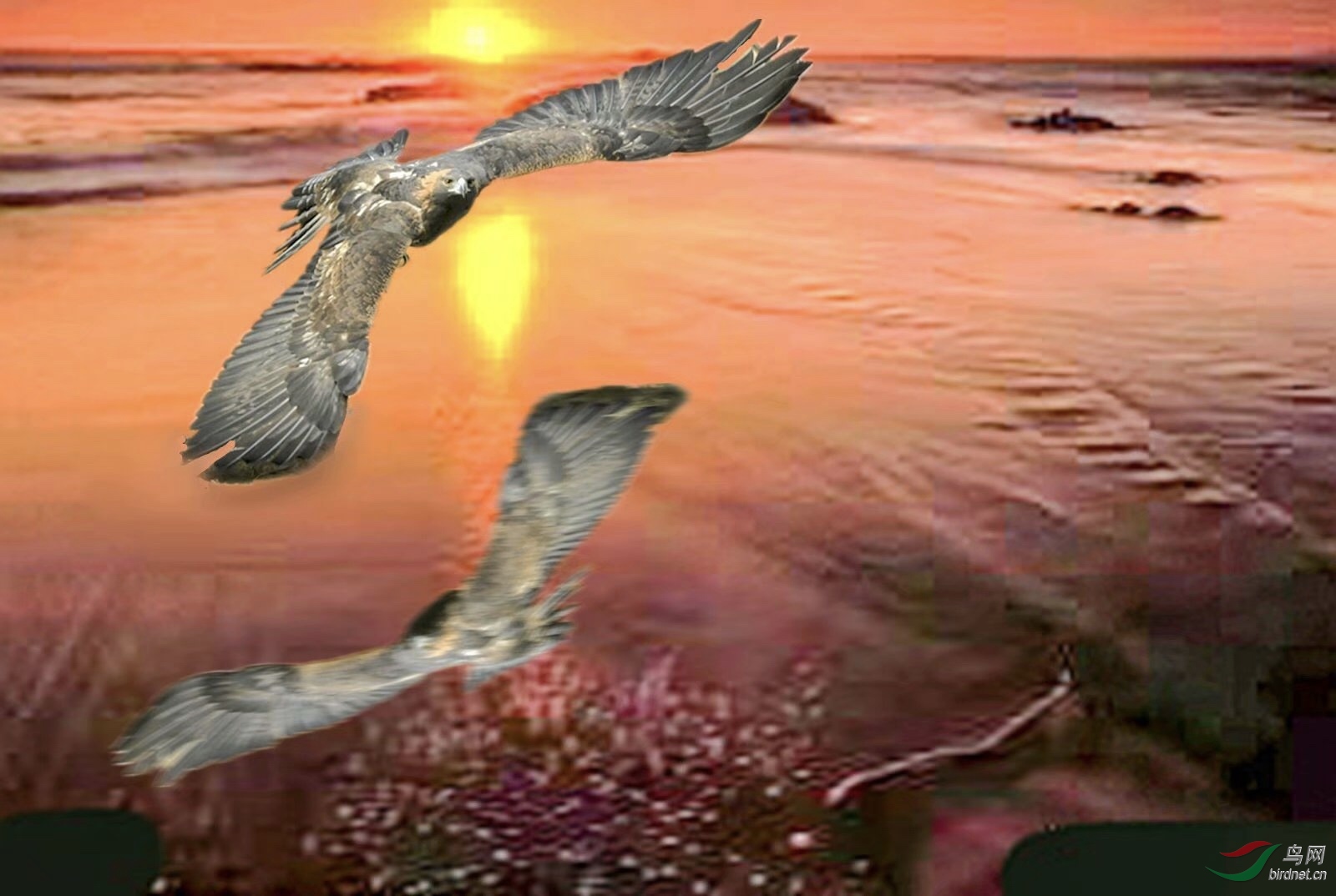 B17708C8-55C3-4CE5-B57F-892F6BCF964C.jpeg