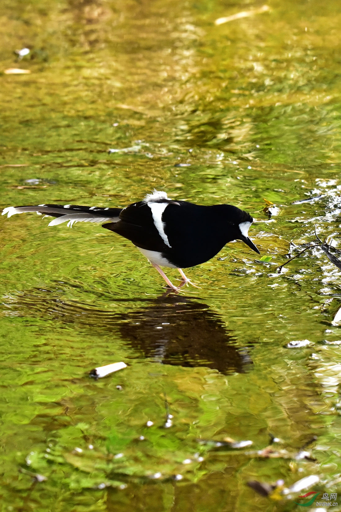 DSC_0495.JPG