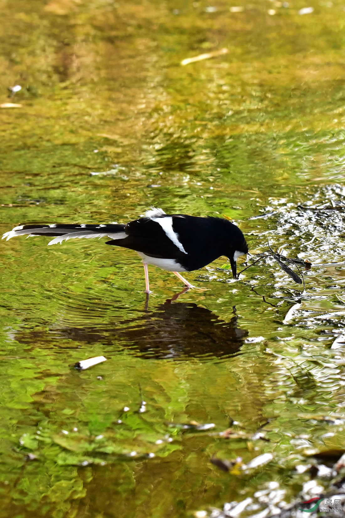 DSC_0496.JPG