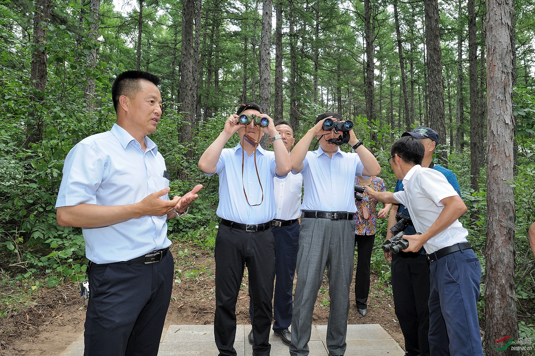 金广山在苍鹭岛为调研人员讲解苍鹭岛巢穴和幼鸟统计数据方法并指导