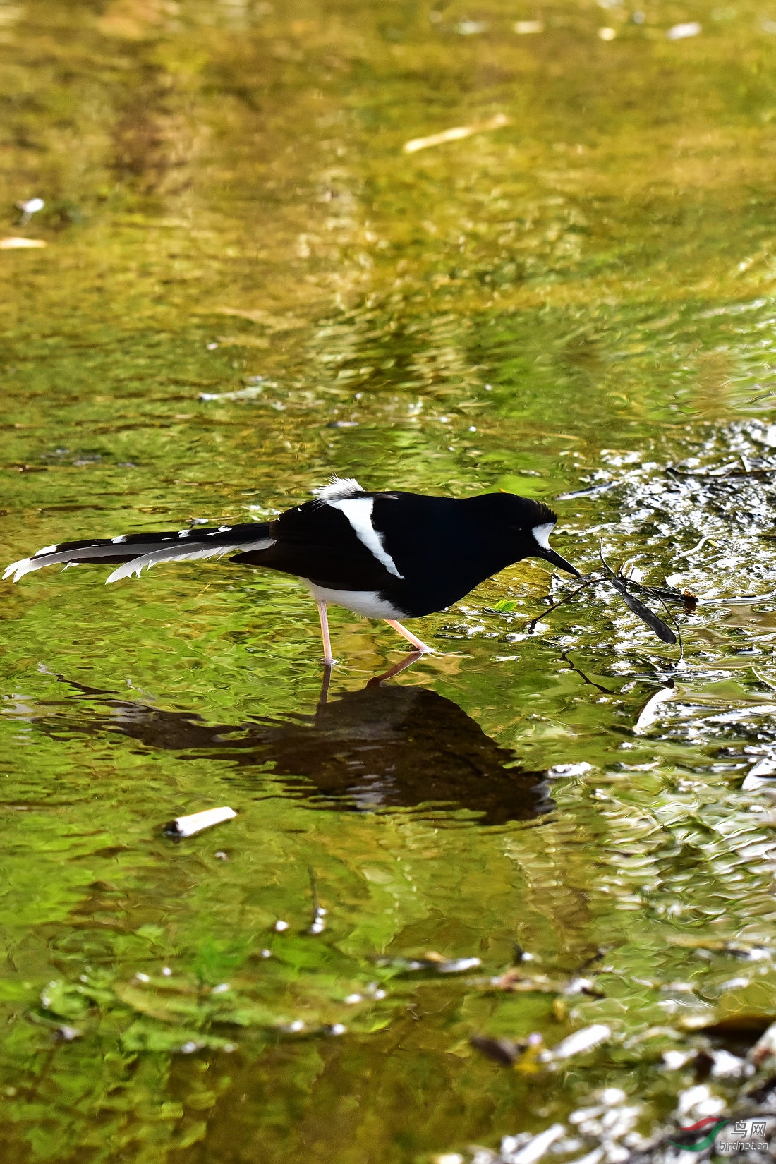 DSC_0497.JPG