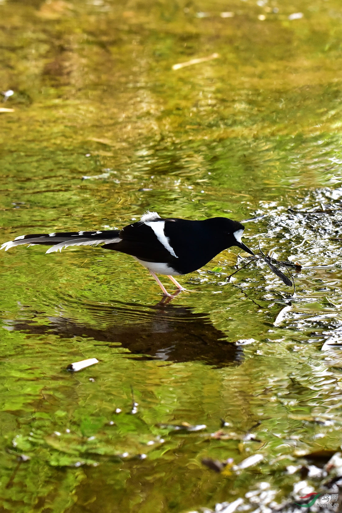 DSC_0498.JPG