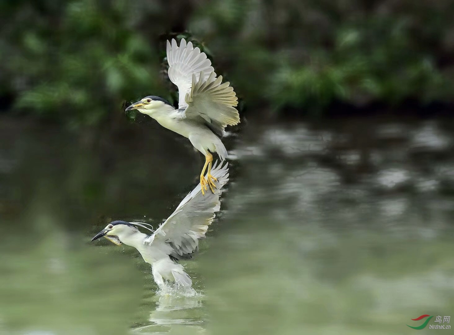 D5D0FA1C-E887-408C-A101-516757367CAD.jpeg