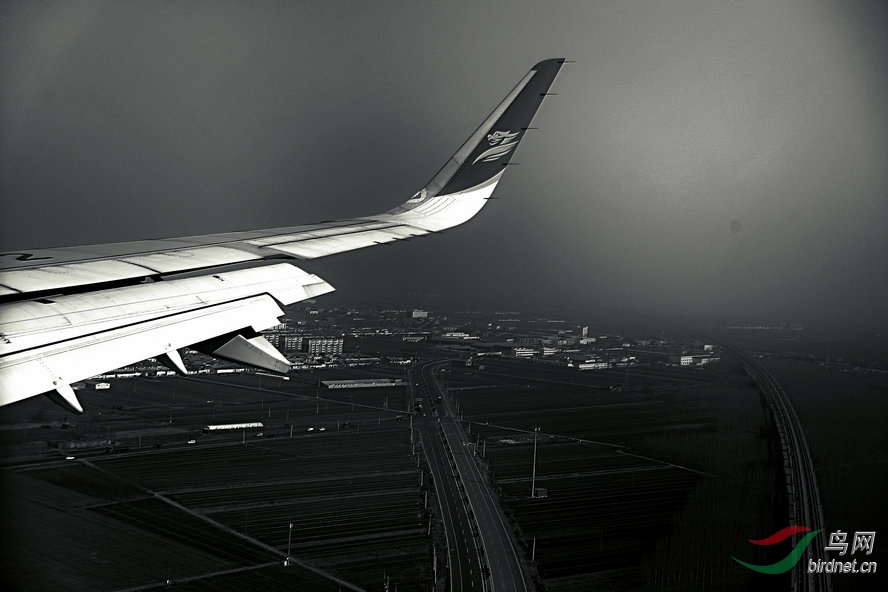BW6I5775_����_����1_����.JPG