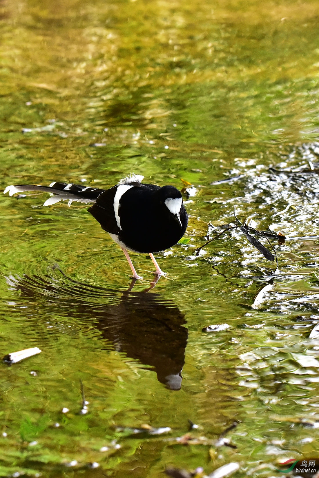DSC_0499.JPG