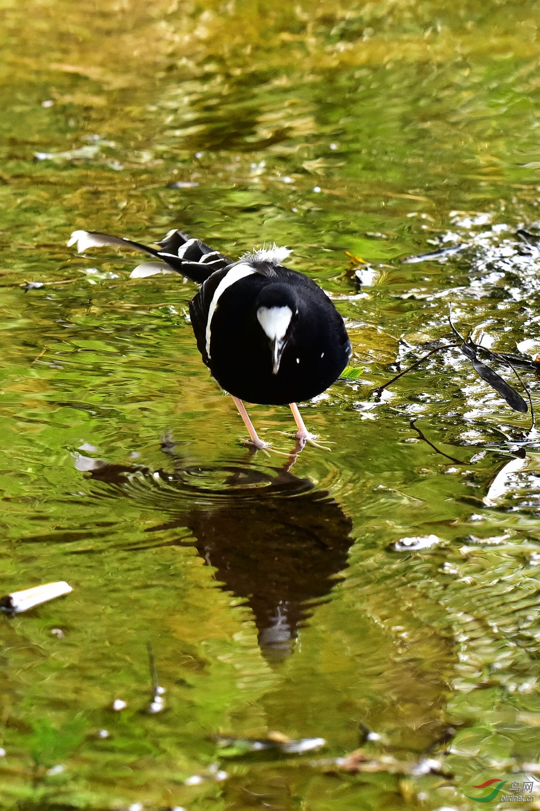 DSC_0500.JPG