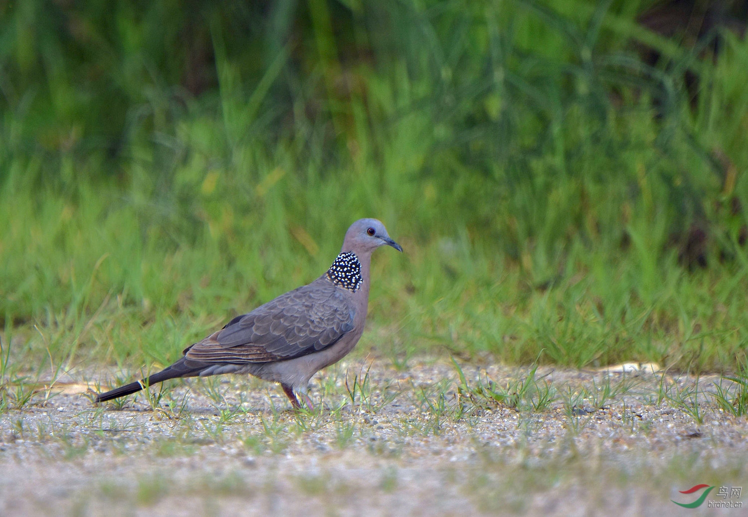 D8I_6570.jpg