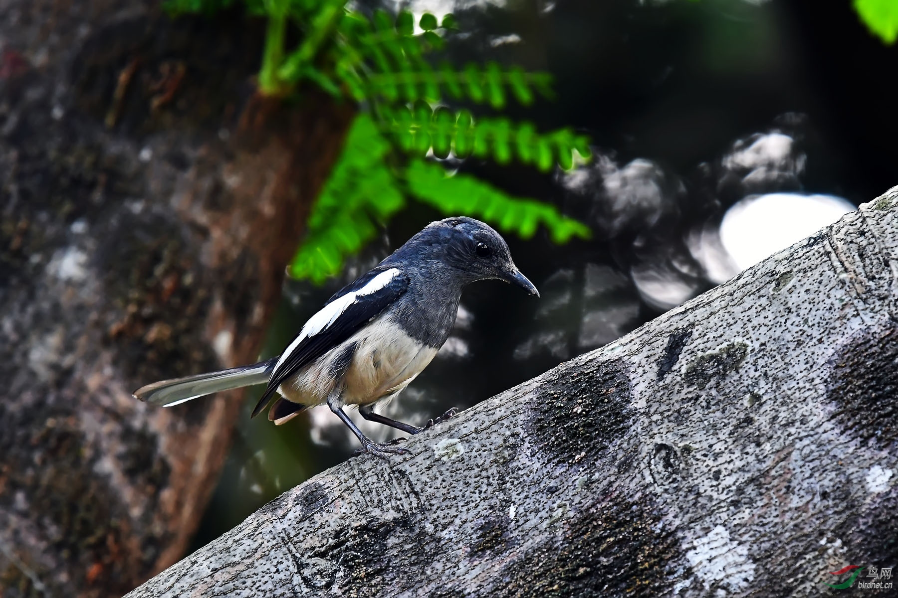 DSC_3194.jpg