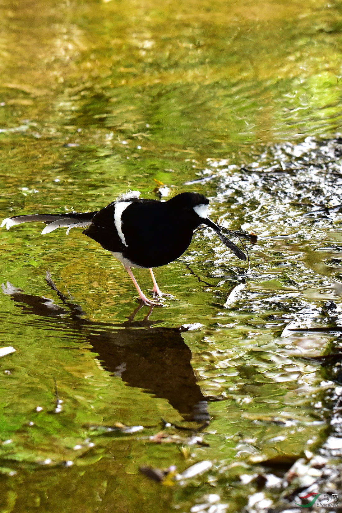 DSC_0502.JPG