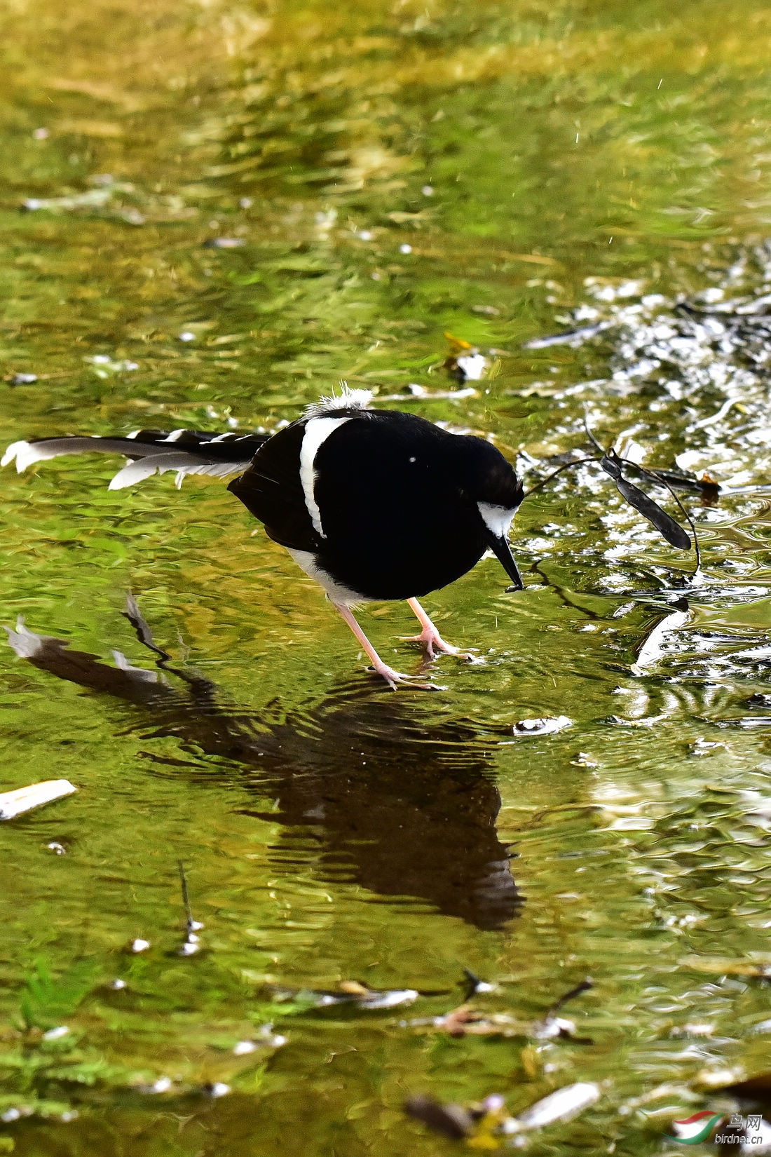 DSC_0505.JPG
