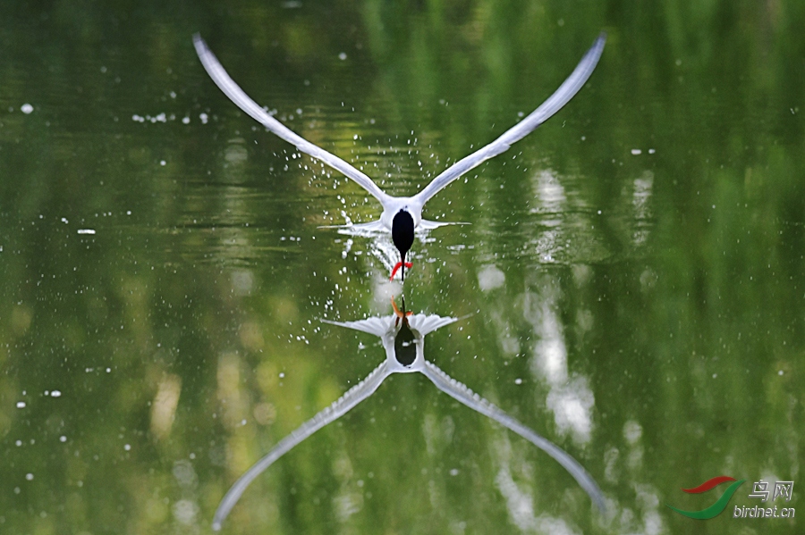 _DSC 9648 ����.jpg