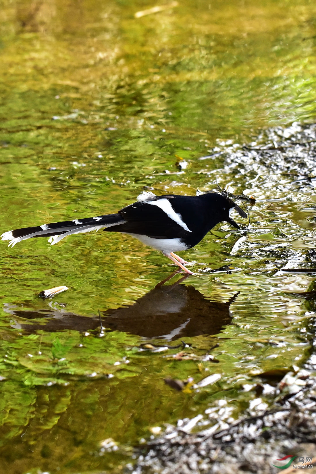 DSC_0509.JPG