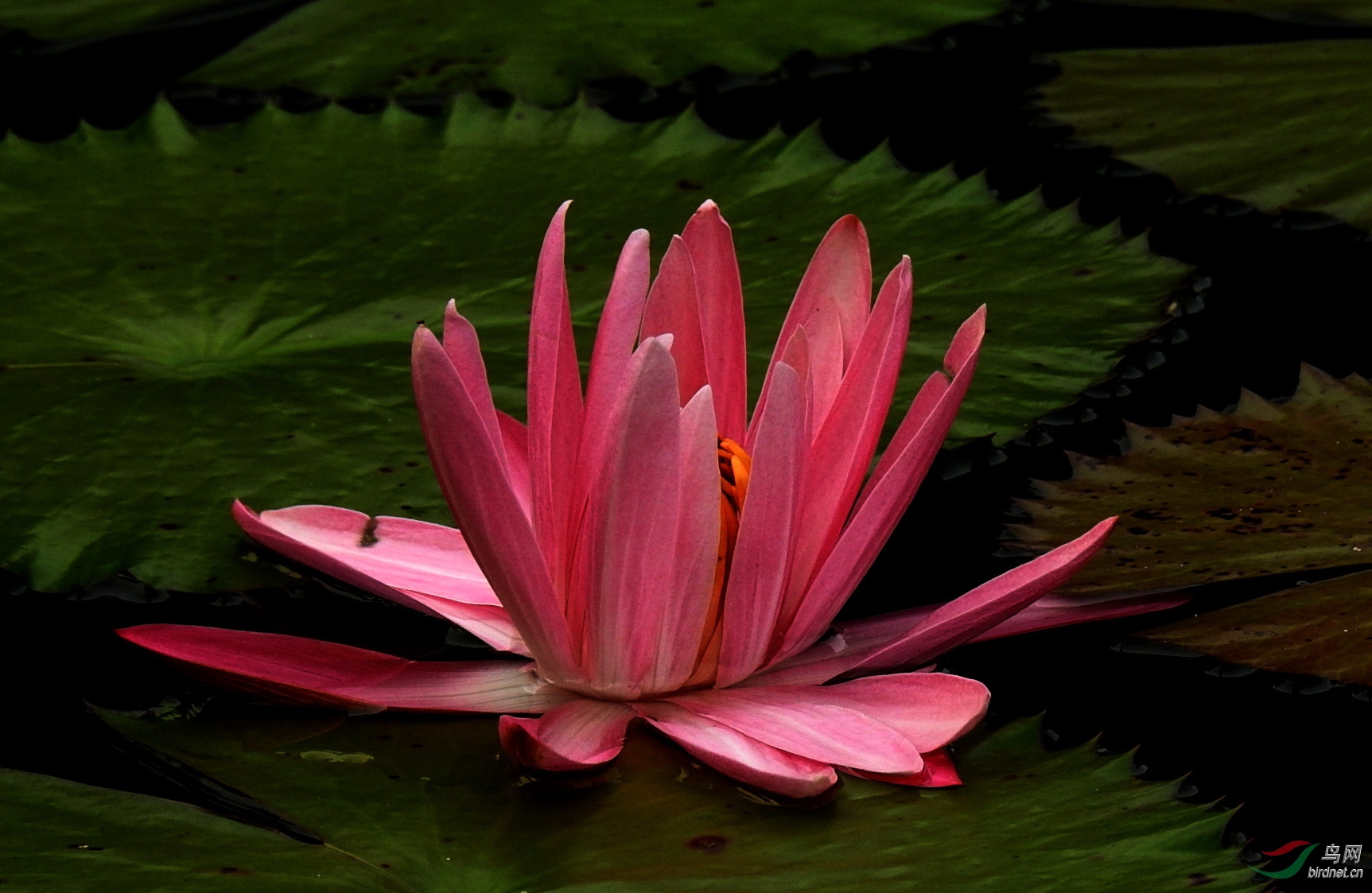 DSCN4855.JPG