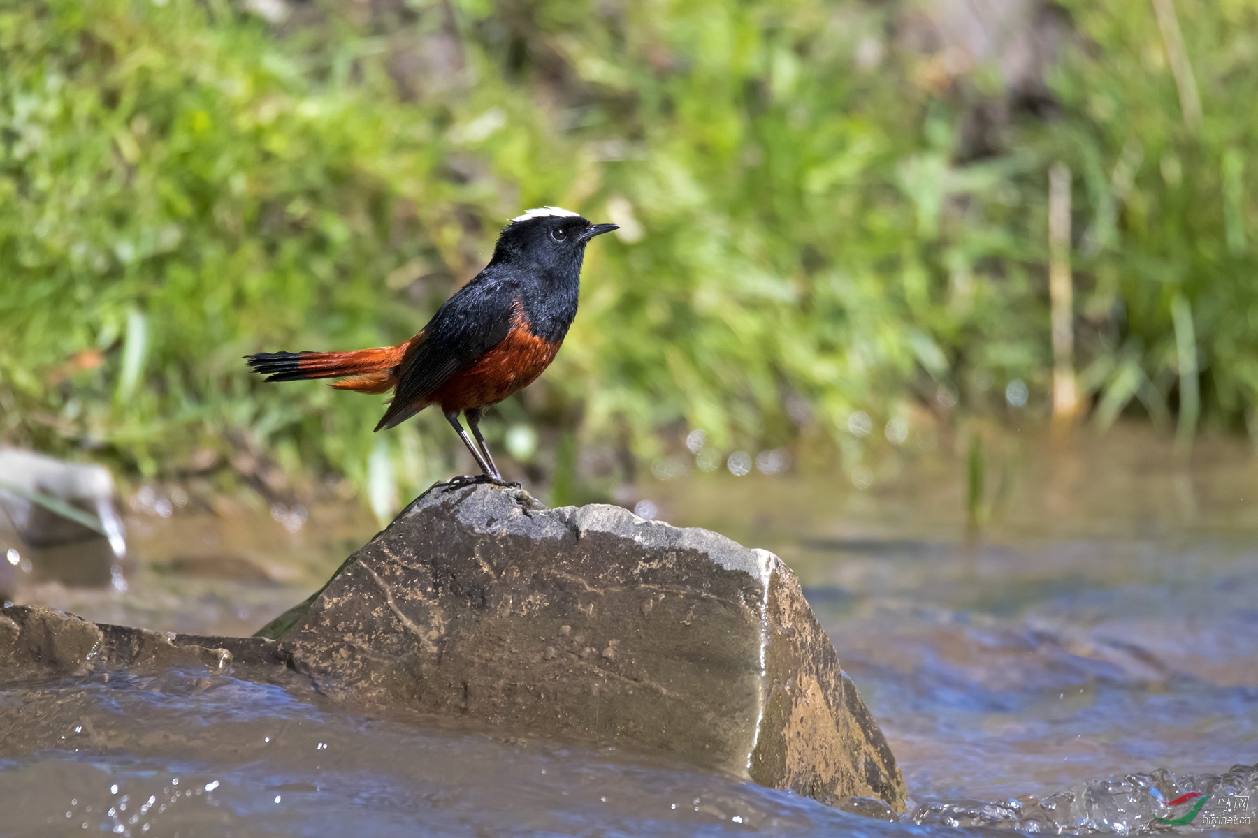 DSC_5261.jpg